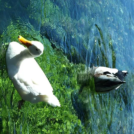 Portofino Szálloda Akyaka