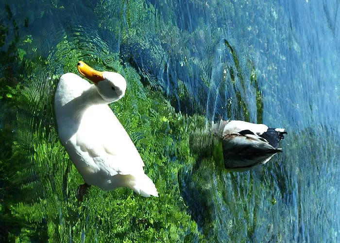 Portofino Szálloda Akyaka